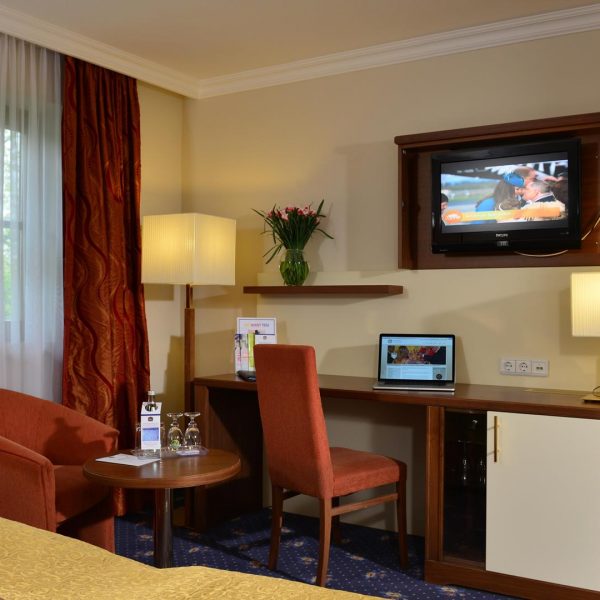 Business Double room